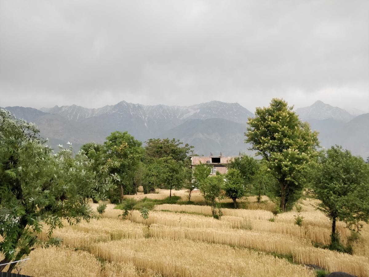D'Polo Club & Spa Resort Dharamshala Exterior foto